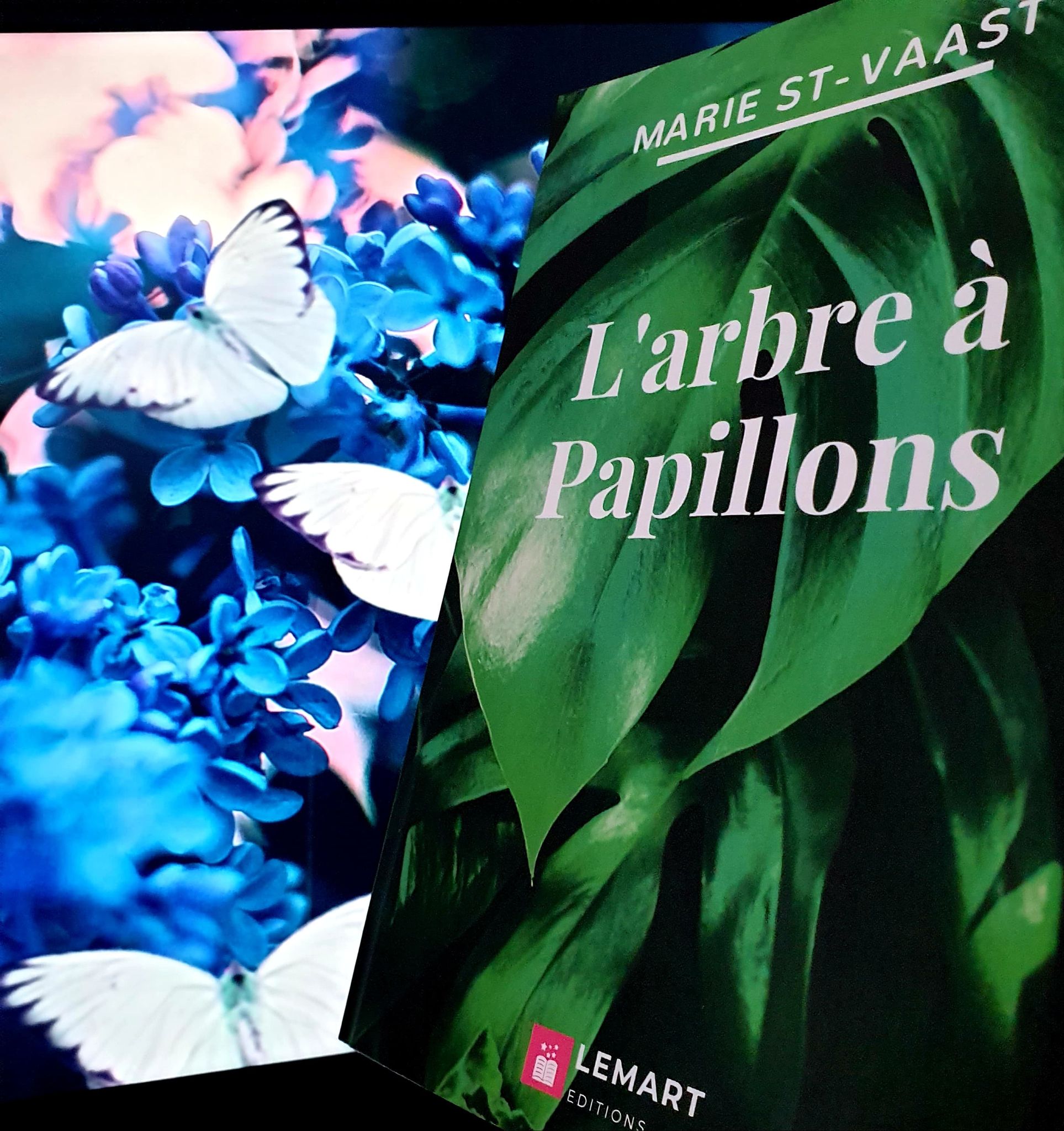 L'arbre à papillons, Marie St-Vaast