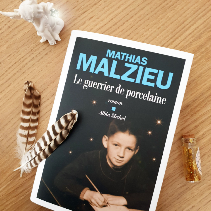La guerrier de porcelaine, Mathias Malzieu