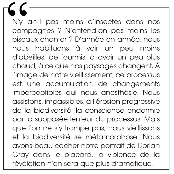 Ce sont les mêmes questions qui nous assaillent lorsque l’on observe le monde qui nous entoure, le monde vivant, ce que l’on appelle aussi la biodiversité. N’y a-t-il pas moins d’insectes dans nos campagnes ? N’entend-on pas moins les oiseaux chanter ? D’année en année, nous nous habituons à voir un peu moins d’abeilles, de fourmis, à avoir un peu plus chaud, à ce que nos paysages changent. À l’image de notre vieillissement, ce processus est une accumulation de changements imperceptibles qui nous anesthésie. Nous assistons, impassibles, à l’érosion progressive de la biodiversité, la conscience endormie par la supposée lenteur du processus. Mais que l’on ne s’y trompe pas, nous vieillissons et la biodiversité se métamorphose. Nous avons beau cacher notre portrait de Dorian Gray dans le placard, la violence de la révélation n’en sera que plus dramatique.