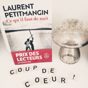 Ce qu’il faut de nuit, Laurent Petitmangin