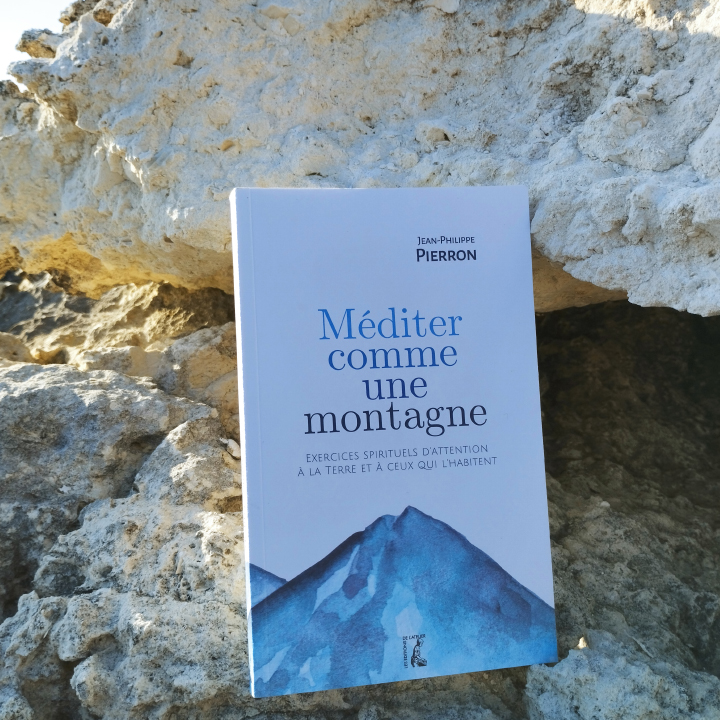 Méditer comme une montagne, Jean-Philippe Pierron