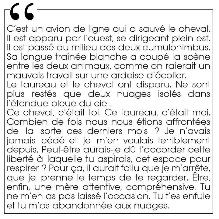 Cumulonimbus, Luc-Michel Fouassier