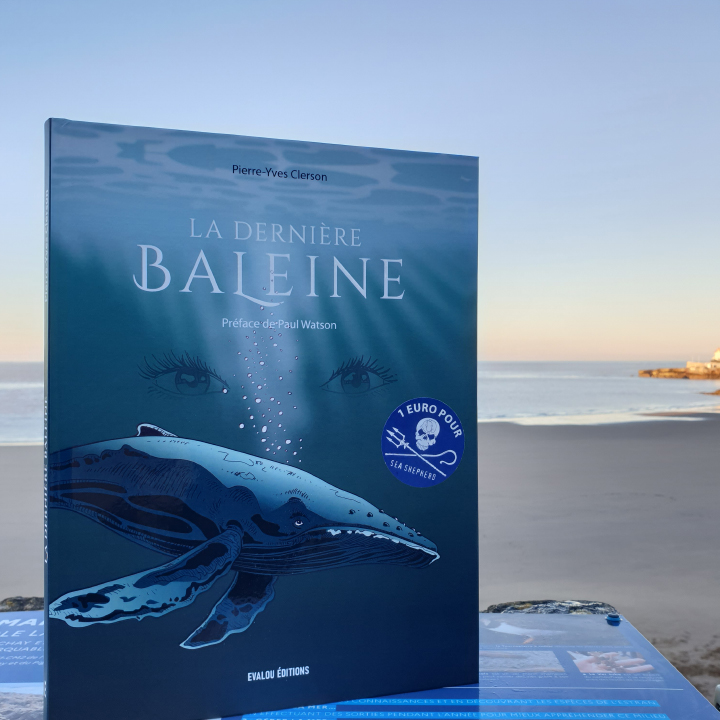 La dernière baleine de Pierre-Yves Clerson aux Éditions Evalou