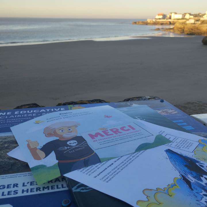 La dernière baleine de Pierre-Yves Clerson aux Éditions Evalou