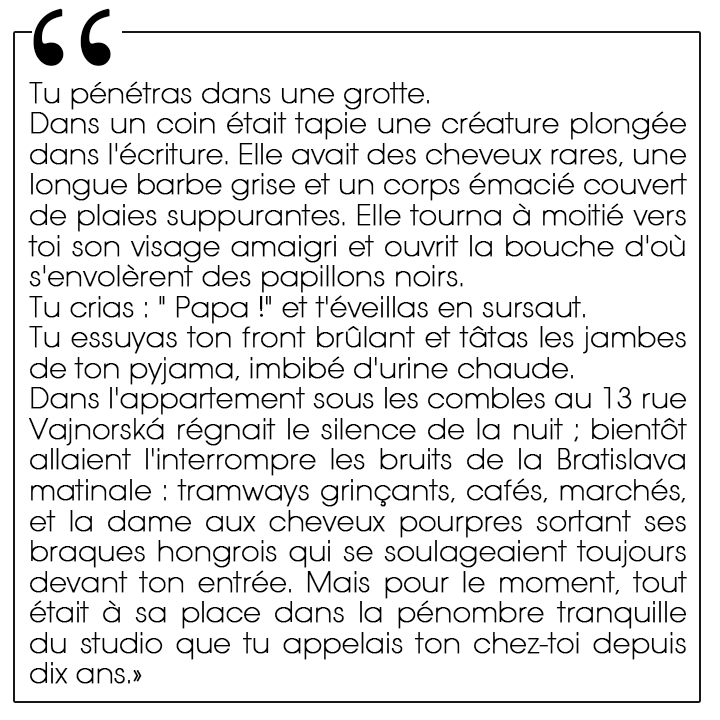 L'île Ø de Peter Balko aux Éditions Bleu et Jaune, traduit du slovaque par Barbora Faure