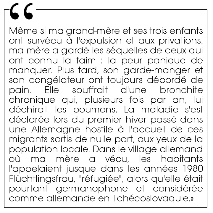 Les zones grises, Alexandra Saemmer aux Éditions Bayard