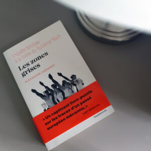 Les zones grises, Alexandra Saemmer  aux Éditions Bayard