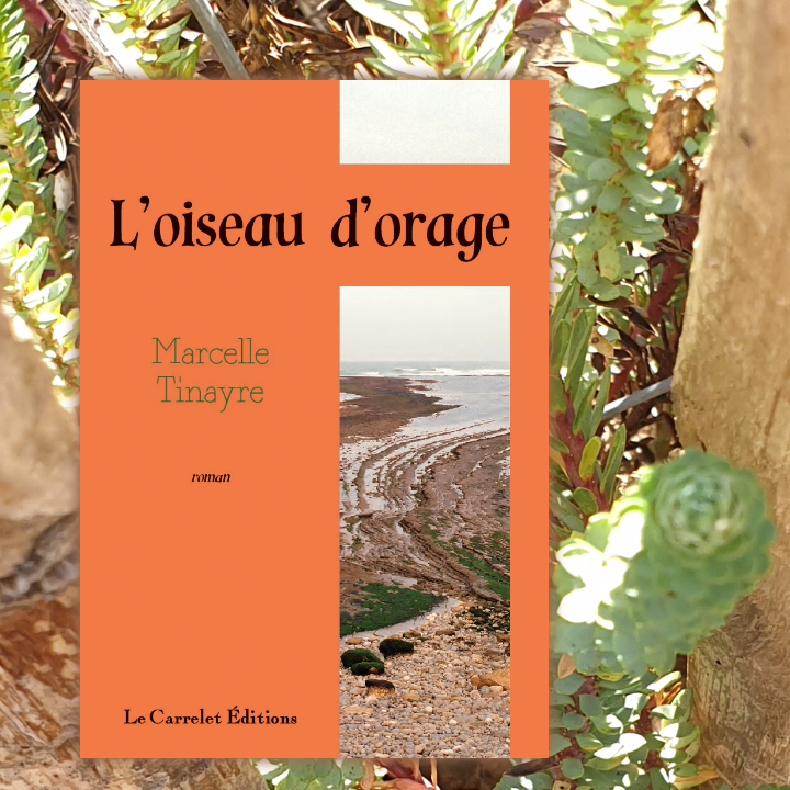 L'oiseau d'orage de Marcelle Tinayre