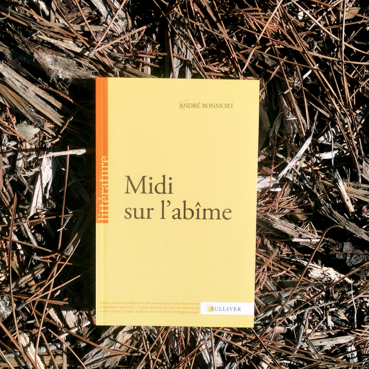 Midi sur l'abîme d'André Bonmort, Les Éditions Sulliver
