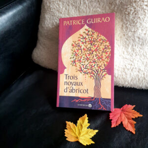 Trois noyaux d&rsquo;abricot de Patrice Guirao, Les Editions Au vent des îles