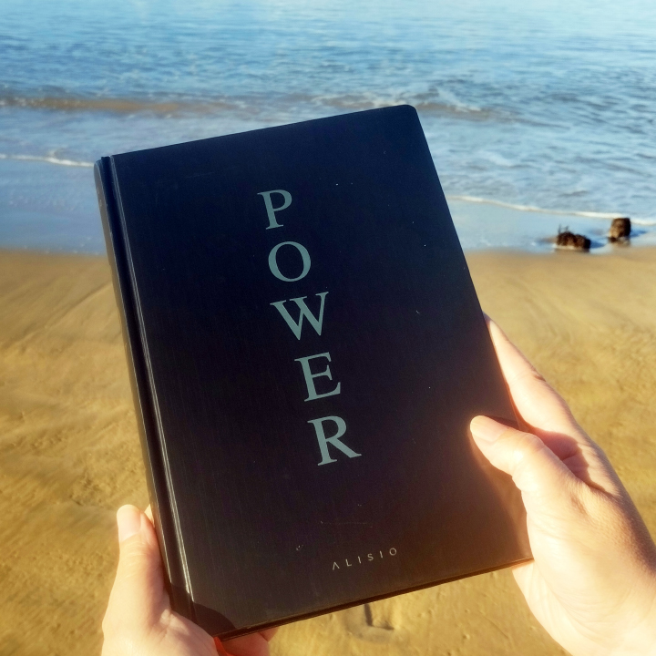 Power Les 48 lois du pouvoir, Robert Greene aux Éditions Alisio