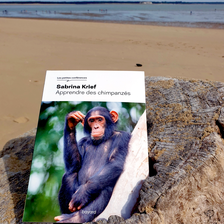 Apprendre des chimpanzés de Sabrina Krief aux Éditions Bayard - Collection Les petites conférences