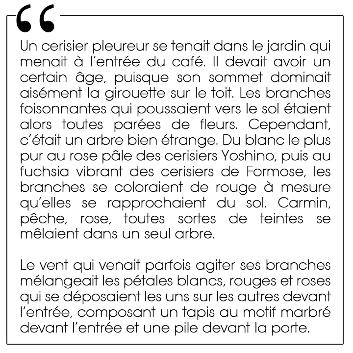 La librairie des cerisiers en fleurs, Takuya Asakura aux Éditions Harper Collins