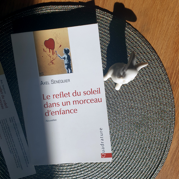 Le reflet du soleil dans un morceau d’enfance, Axel Sénéquier aux Éditions Quadrature