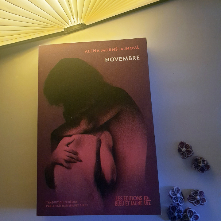 Novembre, Mornštajnová Alena aux Éditions Bleu et Jaune, traduit du tchèque par Raimbault Biret Anaïs